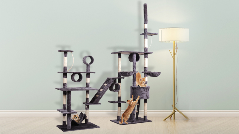 12+ Best Rated Cat Condo